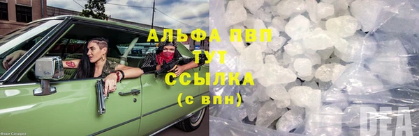 гидра Новозыбков