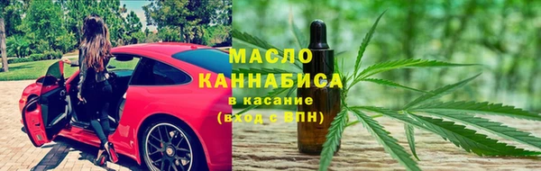 гидра Новозыбков