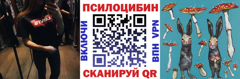 что такое   Куровское  нарко площадка формула  Галлюциногенные грибы Cubensis 